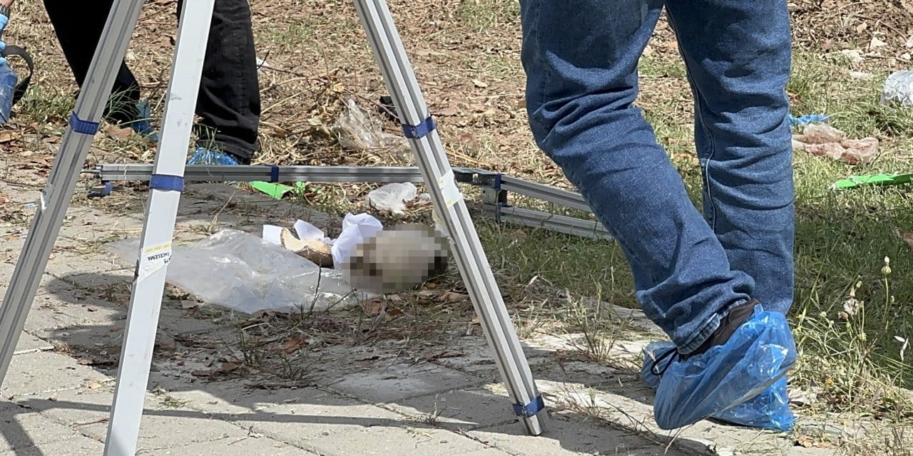 Adana'da çöp konteynerinde kafatası bulundu