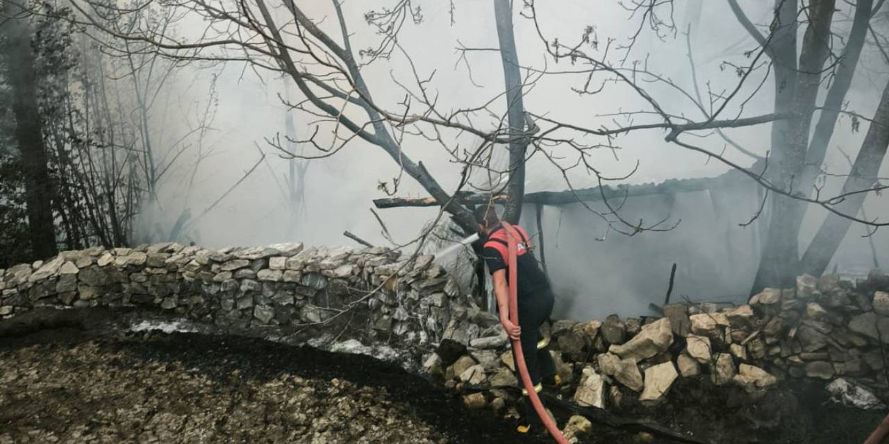Alevler içinde kalan 100 tavuk yanarak öldü