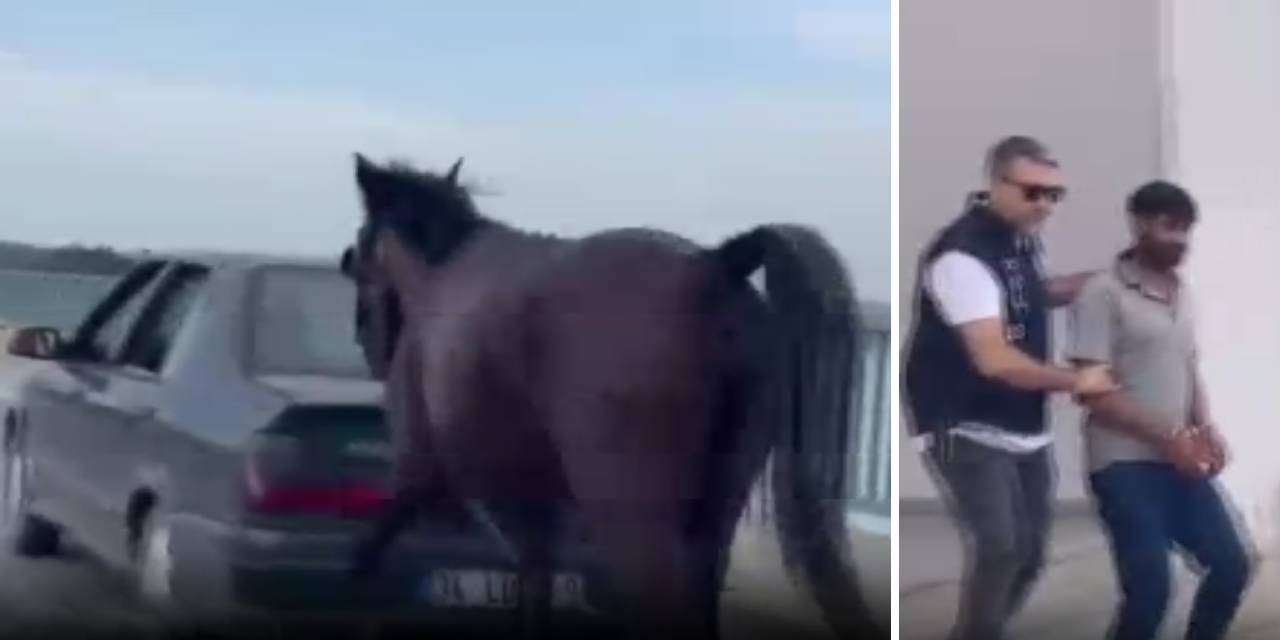 Hayvana eziyetin bedeli ağır oldu: 2 kişi tutuklandı