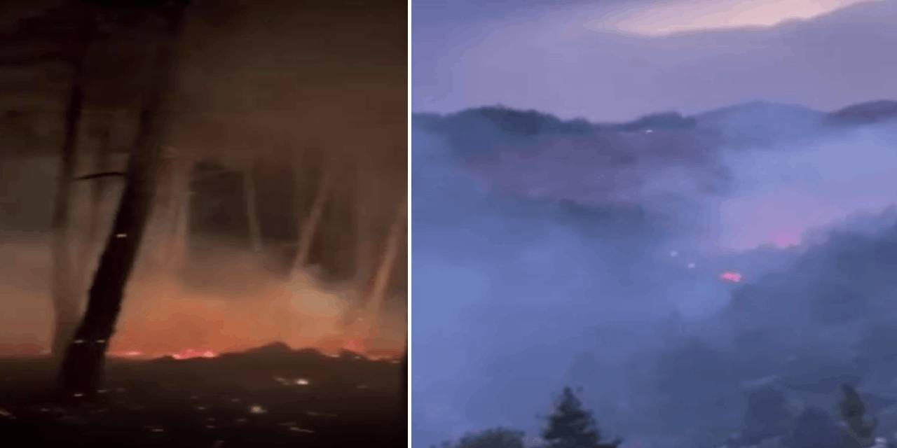 Mersin'deki orman yangını söndürüldü