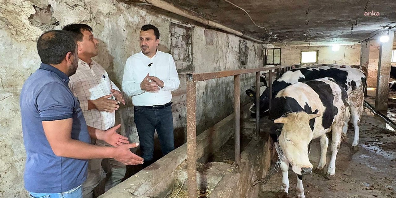 Manisalı besici CHP'li Başevirgen'e dert yandı