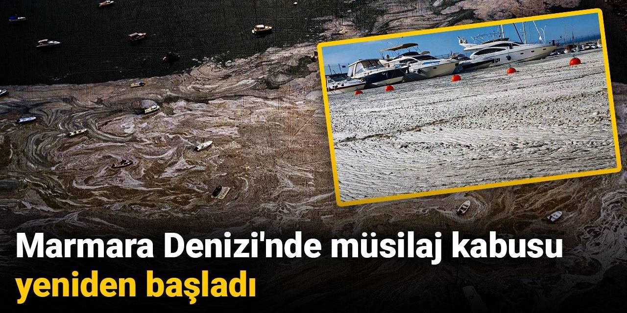Marmara Denizi'nde müsilaj kabusu yeniden başladı