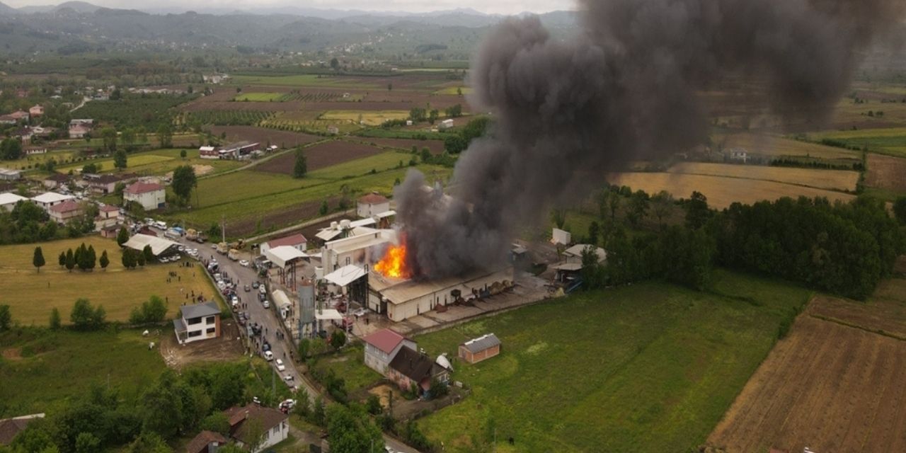 Fındık fabrikasında korkutan yangın! O anlar havadan kaydedildi