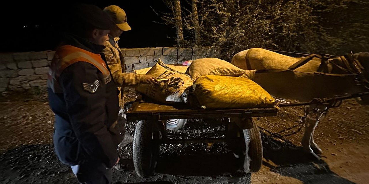 3 ton 820 kilo inci kefali ele geçirildi