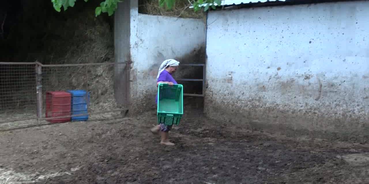 Üretici ayakta kalmakta zorlanıyor