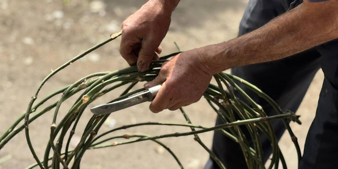 Dikenli sarmaşıklara hayat veriyor: 45 yıldır geçimini böyle sağlıyor