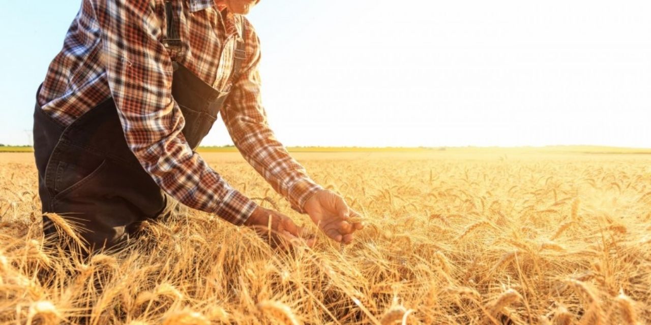 CHP'li Ayhan Barut: Çiftçi sizin düşmanınız değil, destek verin