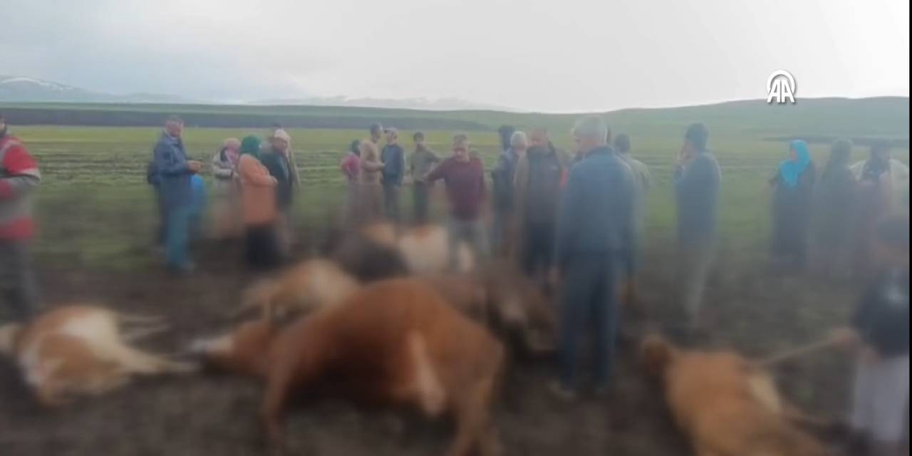 Kars'ta çoban ve hayvanlara yıldırım çarptı: 10 hayvan öldü