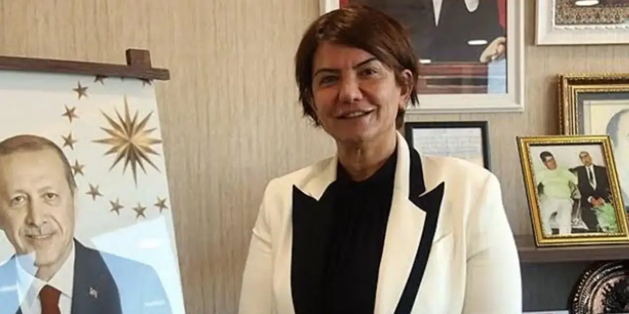 AKP'li Ataman: Yeni Anayasa'da Kürtlerin de adı geçecek
