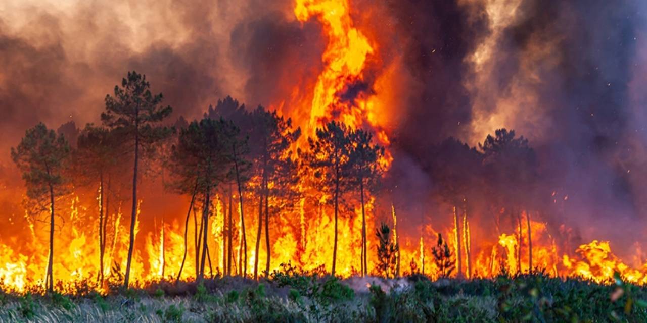 Cehenneme dönüşebilir! Uzmandan 2025 yazı için kara senaryo