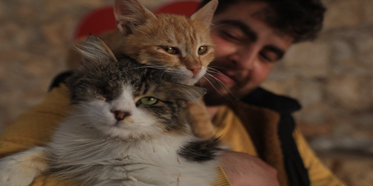 Savaşın vurduğu patilere Halepli öğretmenden yardım eli