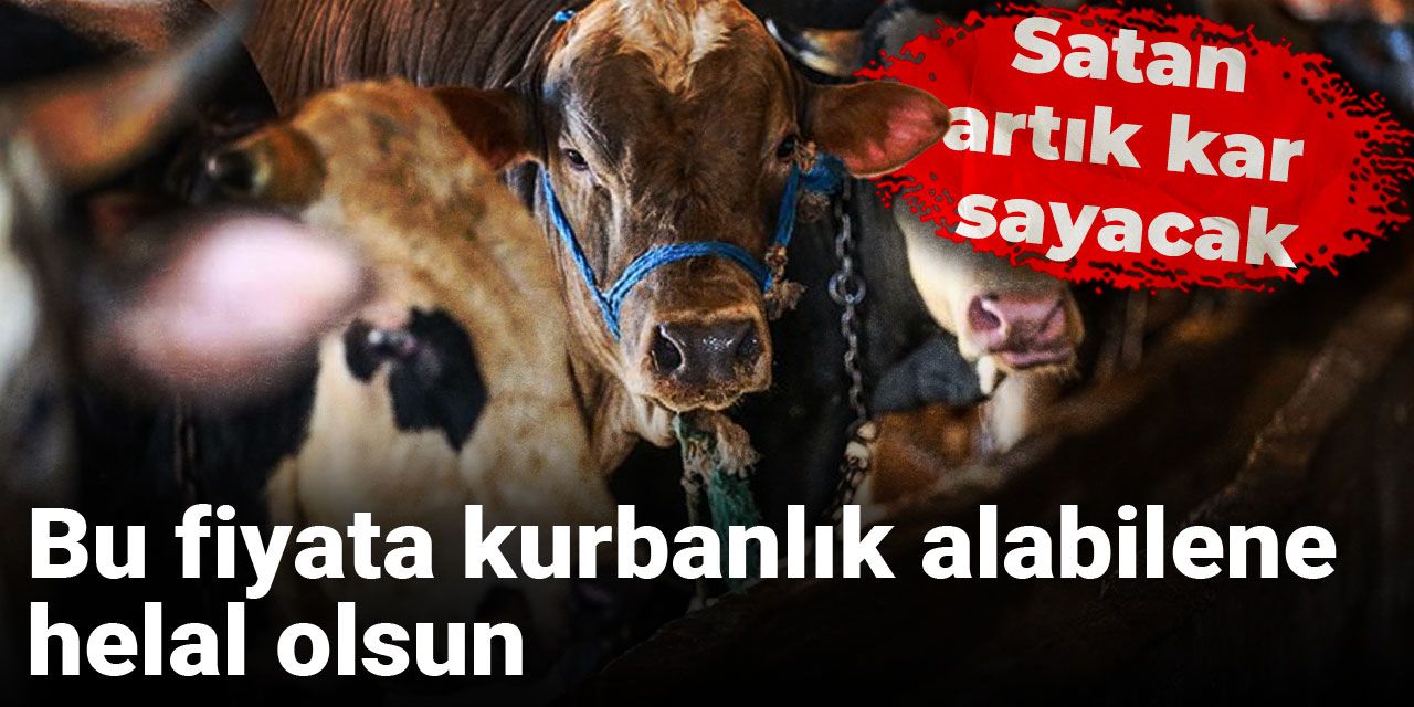 Bu fiyata kurbanlık alabilene helal olsun: Satan artık kar sayacak