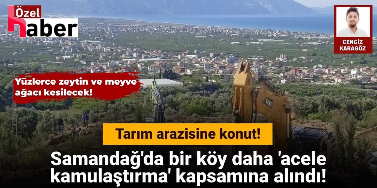 Samandağ'da bir köy daha 'acele kamulaştırma' kapsamına alındı: Yüzlerce zeytin ve meyve ağacı kesilecek!