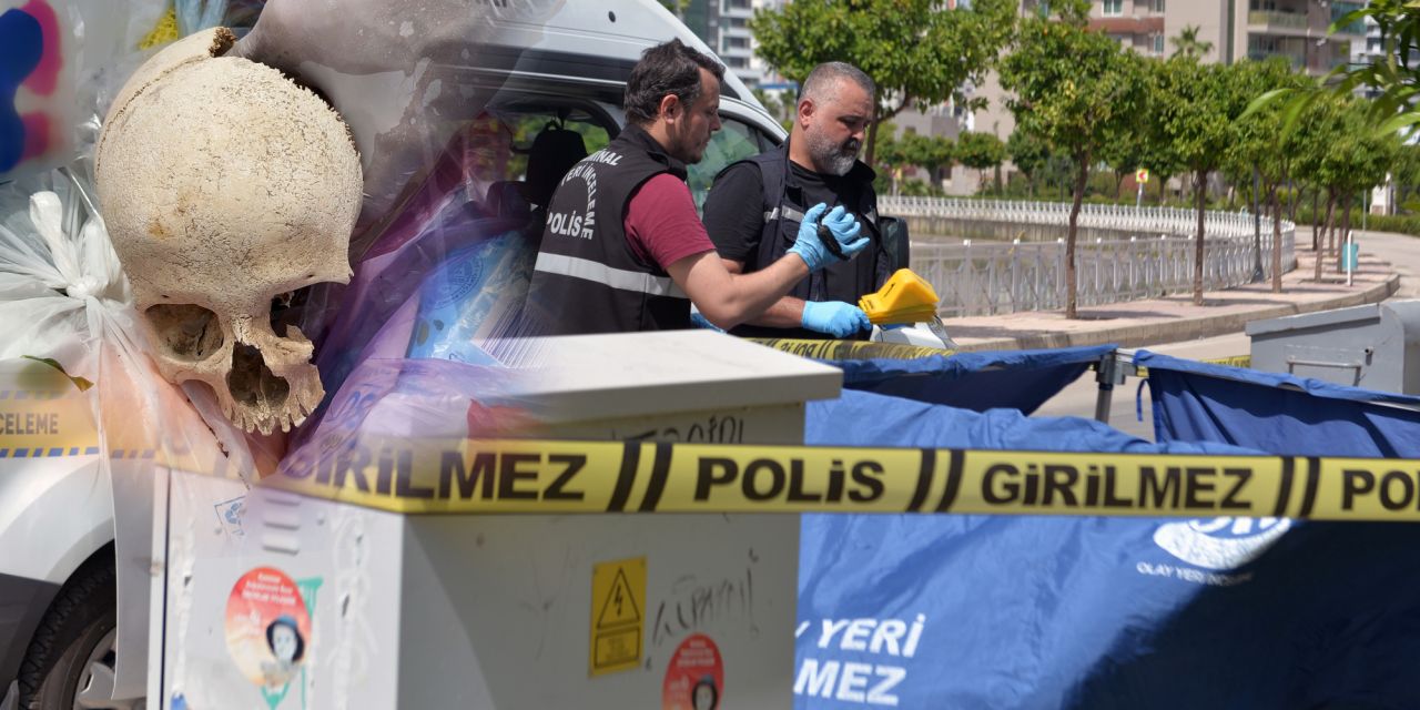 Çöpte bulunan kafatasının ardındaki gerçek ortaya çıktı: Temizlik yapan eşi atmış