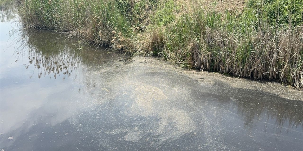 Denizi kirleten atık su kurumuna milyonluk ceza