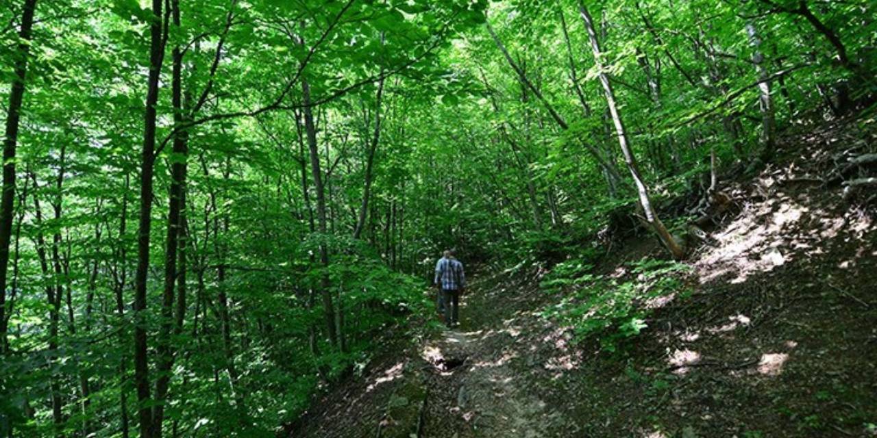 Denizli’de ormanlar kapatıldı: Girişler ve ateş yakmak yasaklandı