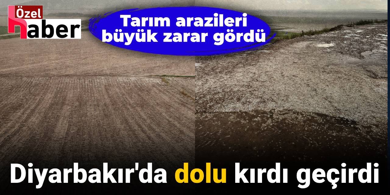 Diyarbakır'da dolu kırdı geçirdi: Tarım arazileri yok oldu