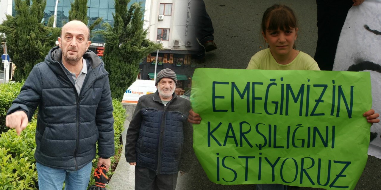 Rize'de çay değil öfke demlendi! Erdoğan'ın hemşehrileri fokur fokur