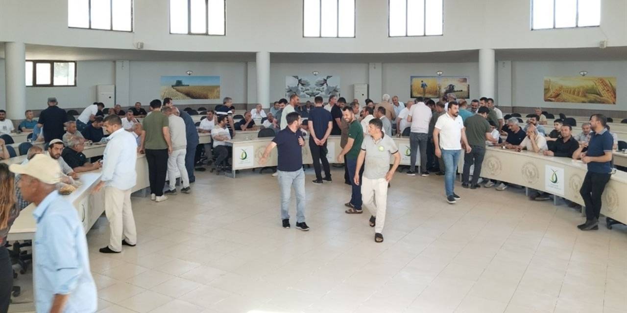 Sezonun ilk hasadı yapıldı: Kilosu 17 liradan satıldı