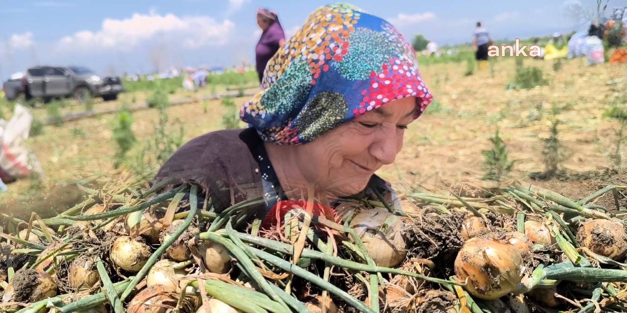 MHP'nin kalesinden insan manzaraları: Kuru soğana muhtaç olduk
