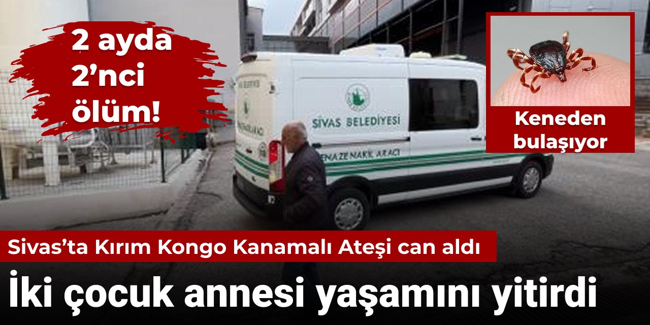 Son 2 ayda 2'nci ölüm: Sivas’ta 2 çocuk annesi kadın kene nedeniyle hayatını kaybetti