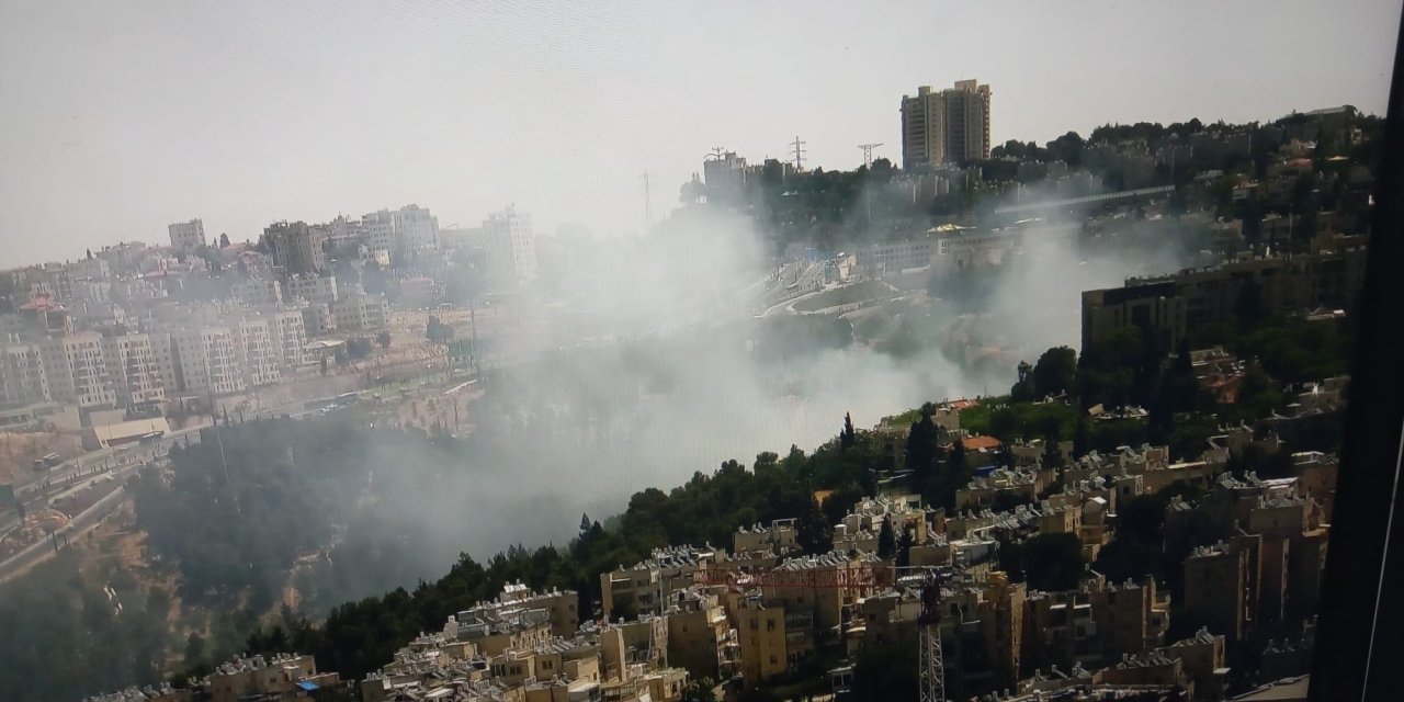 İsrail'de orman yangını: Hızla yayılıyor