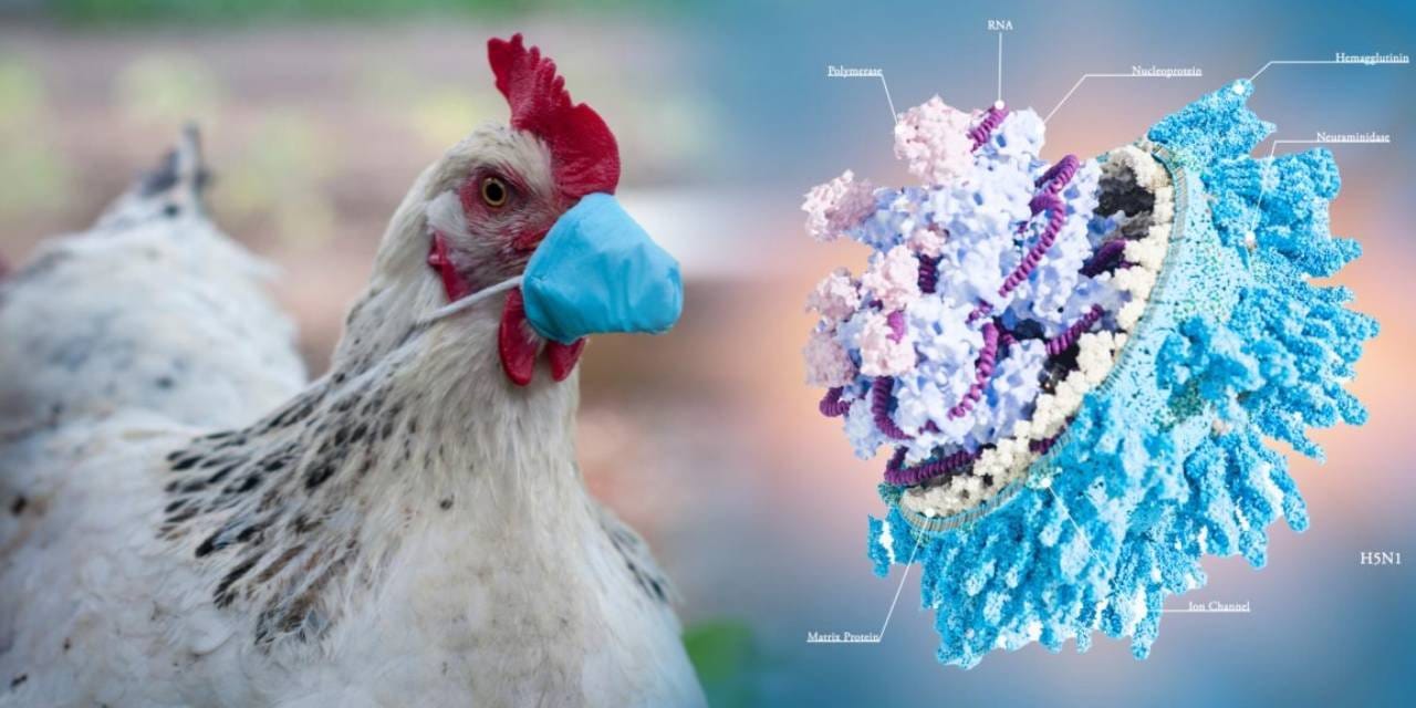 Bakanlık virüsün yayıldığını ilk kez açıkladı: Çin'e kapılar kapatıldı