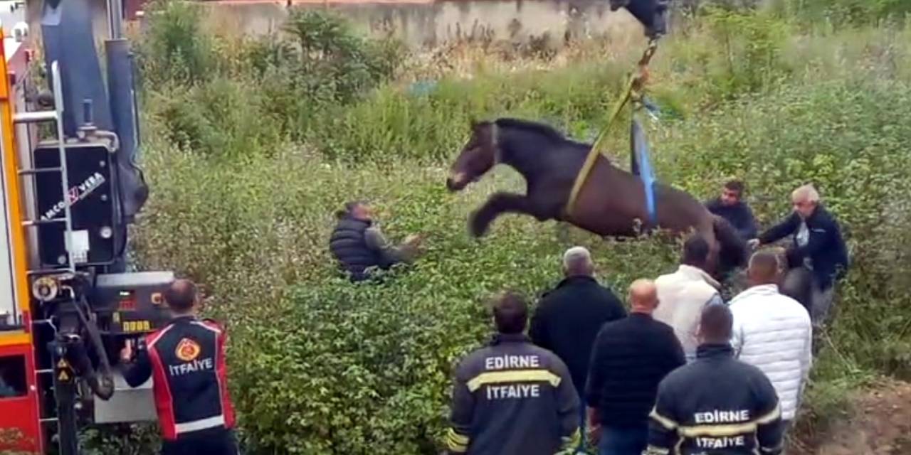 Nehir kenarındaki çukura düşen at büyük uğraşlar sonucu kurtarıldı