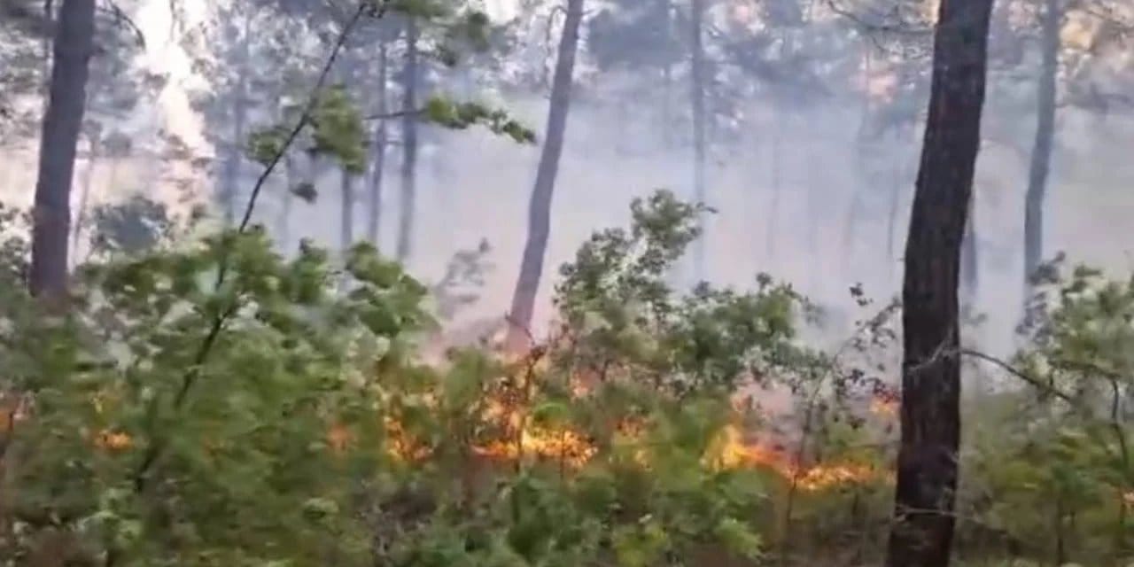Denizli'deki orman yangını kontrol altına alındı