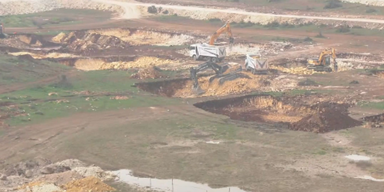 Prof. Dr. Pelin Pınar Giritlioğlu Kuzey Ormanları'nda olan biteni açıkladı