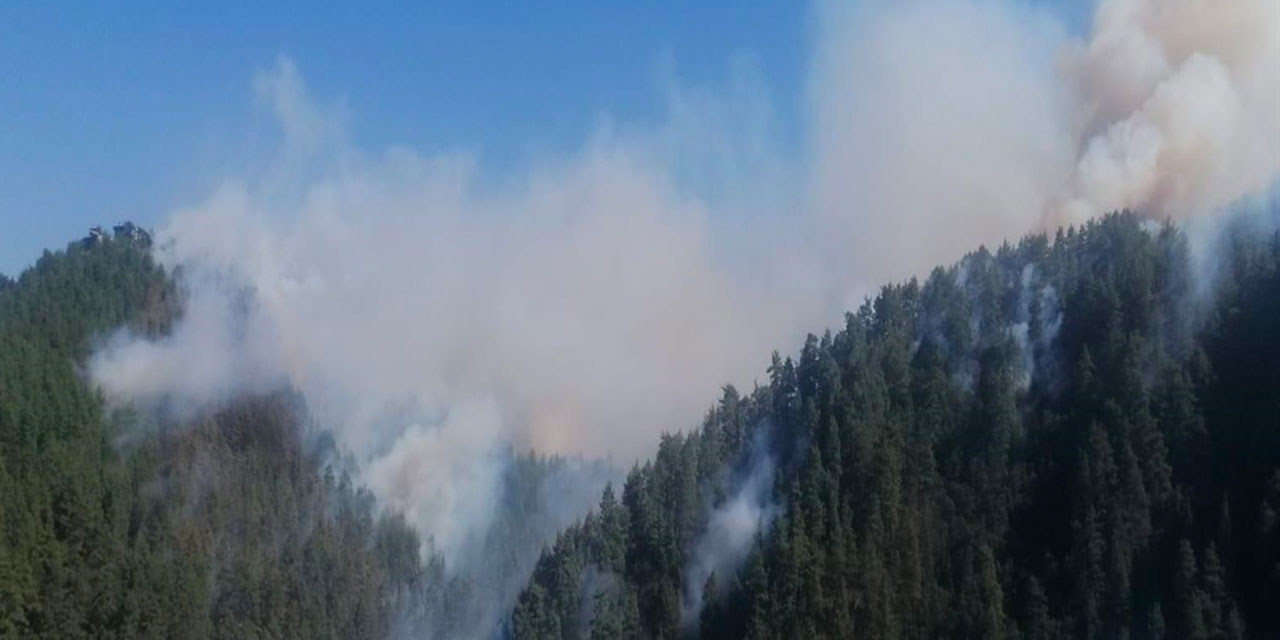 Torpille şaka yaparken ormanı yaktı: 10 yıl hapsi isteniyor