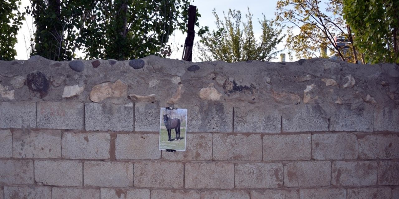 Kaybolan atına kavuşmak için umutla afiş asıyor