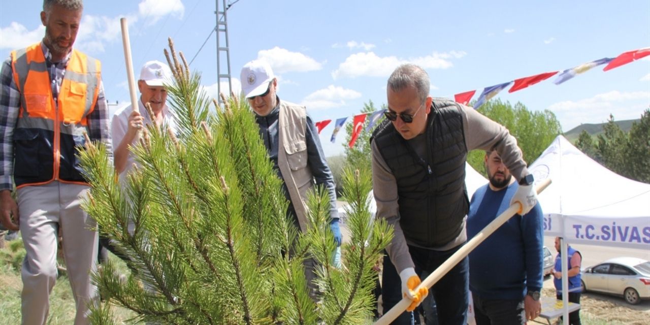 Sivas’ta vefat eden 535 kişi anısına fidan dikildi