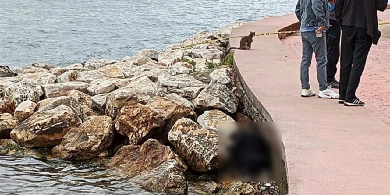 Sahilde kayalıklarda erkek cesedi bulundu
