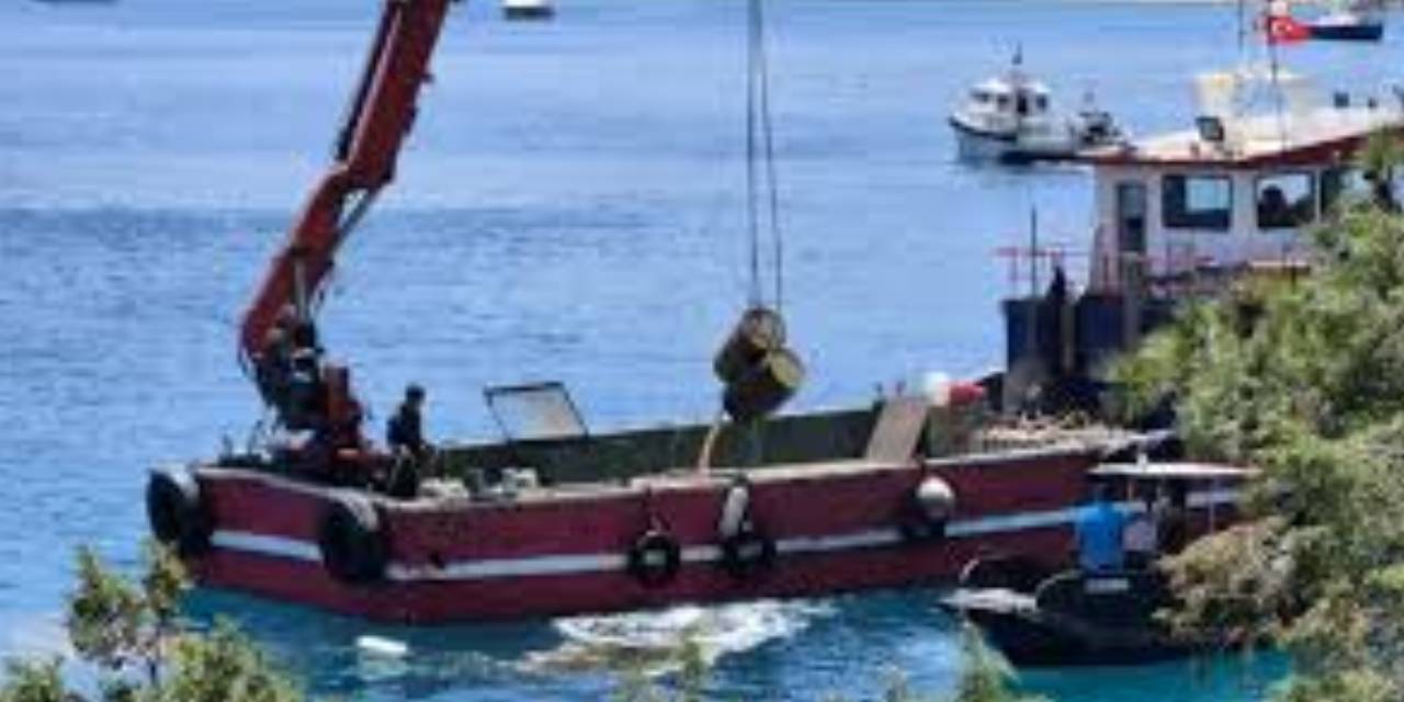 Denizden 50 ton çıkarıldı: İmha edilecek