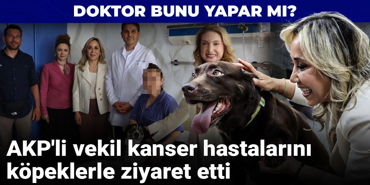 AKP'li vekil kanser hastalarını köpeklerle ziyaret etti: Doktor bunu yapar mı?