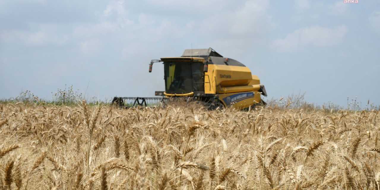 Buğdayın alım fiyatı için dikkat çeken talep!