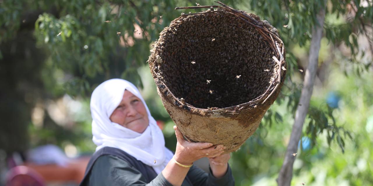 Binlerce arıyı diliyle kontrol ediyor: Her dediğini yapıyorlar