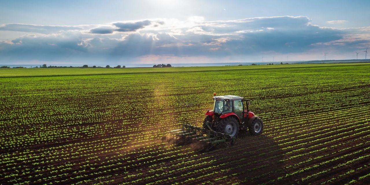 Satışlar düştü, tarım devi binlerce çalışanını evlerine yolladı