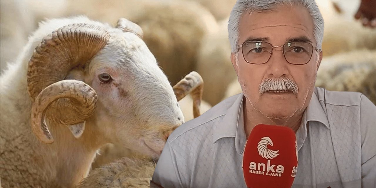 Emekli Diyanet'e sordu: Mesela 4 kişi bir koyuna girebilir miyiz?