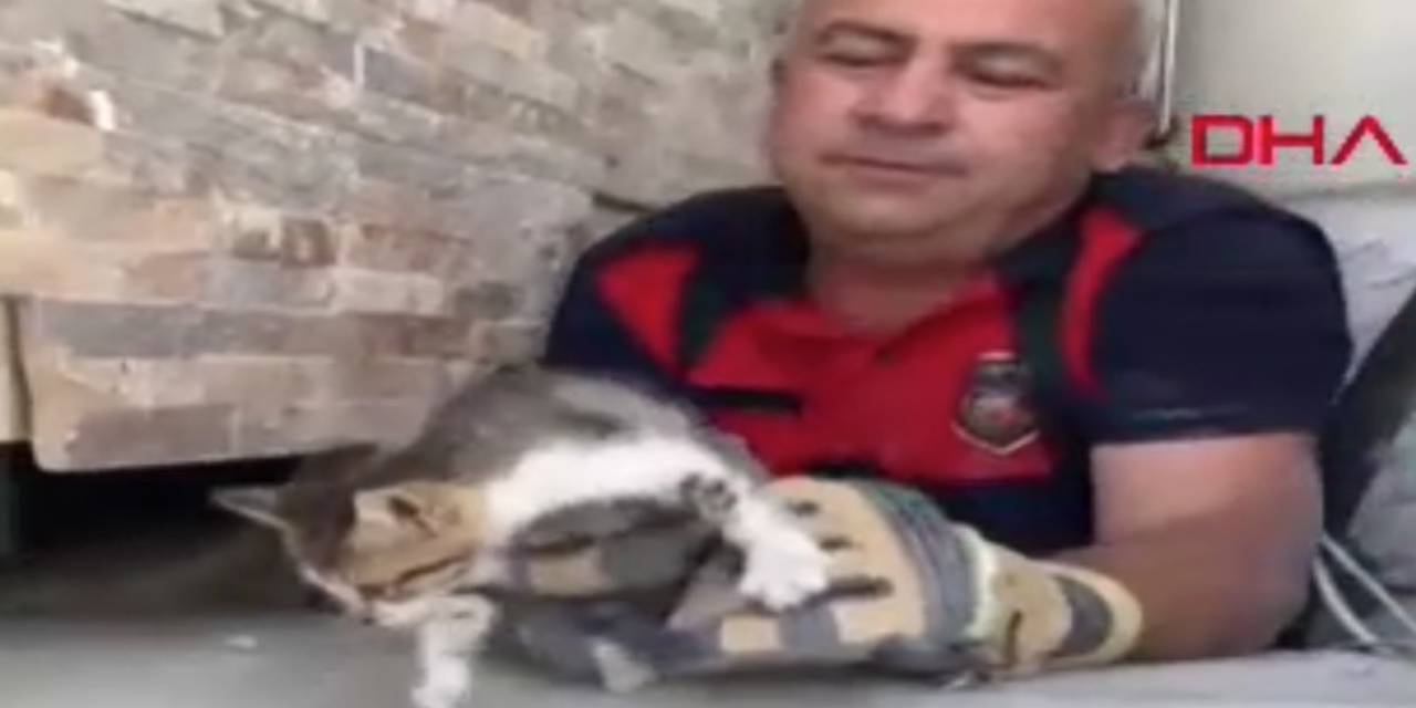 İtfaiye ekipleri yavru kediyi yalnız bırakmadı