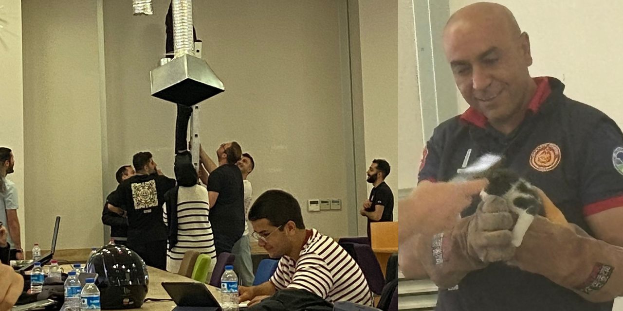 Üniversite'de hummalı kedi kurtarma operasyonu! Kurtarayım derken iki kedi mahsur kaldı