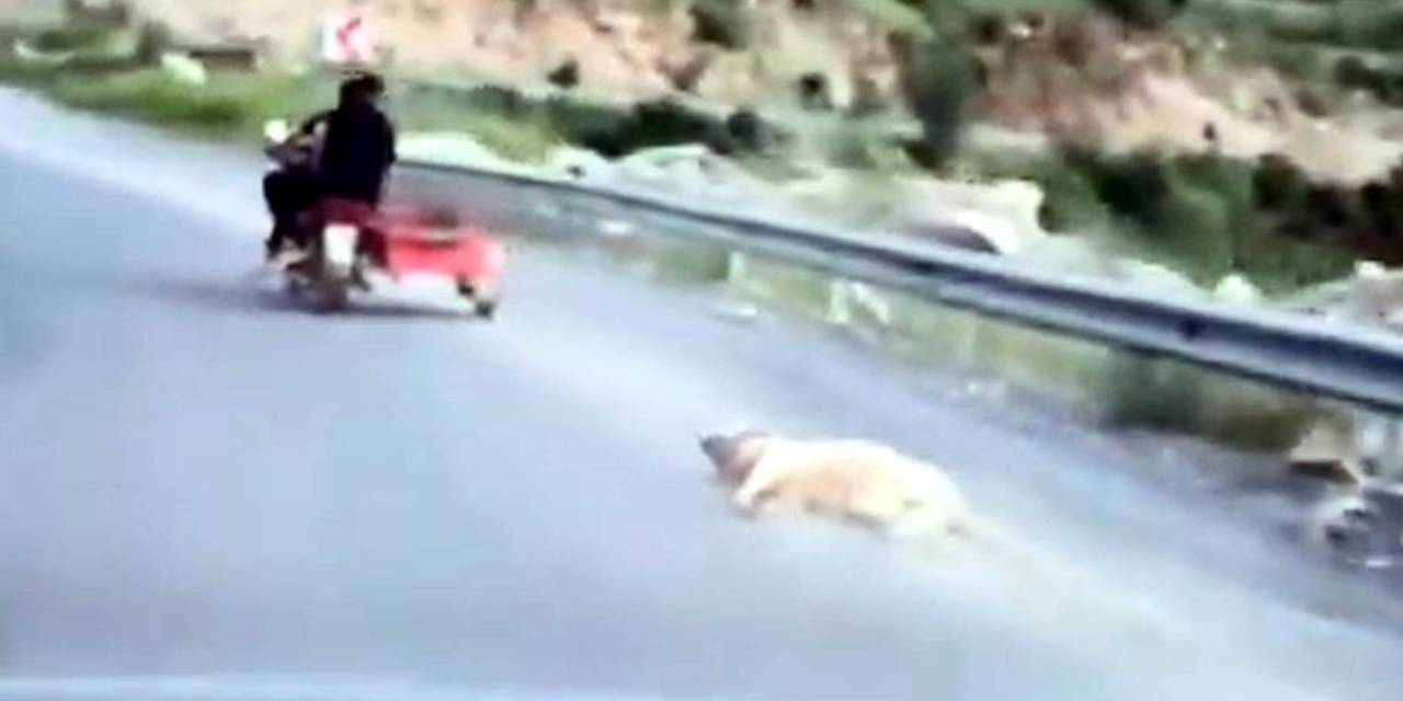 Vicdanları sızlatan olay: Köpeği sürükleyen genç gözaltına alındı