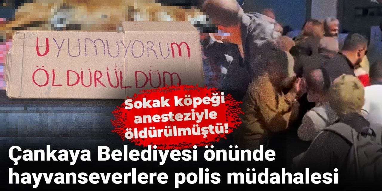 Sokak köpeği anesteziyle öldürülmüştü! Çankaya Belediyesi önünde hayvanseverlere polis müdahalesi