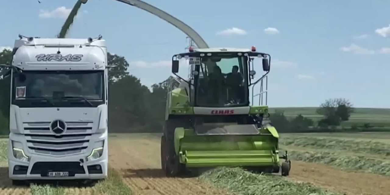 Buğdayı kuraklık vurdu, çiftçi silaj desteği talep ediyor