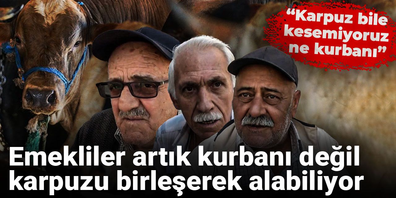 Emekliler artık kurbanı değil karpuzu birleşerek alabiliyor: Karpuz bile kesemiyoruz ne kurbanı