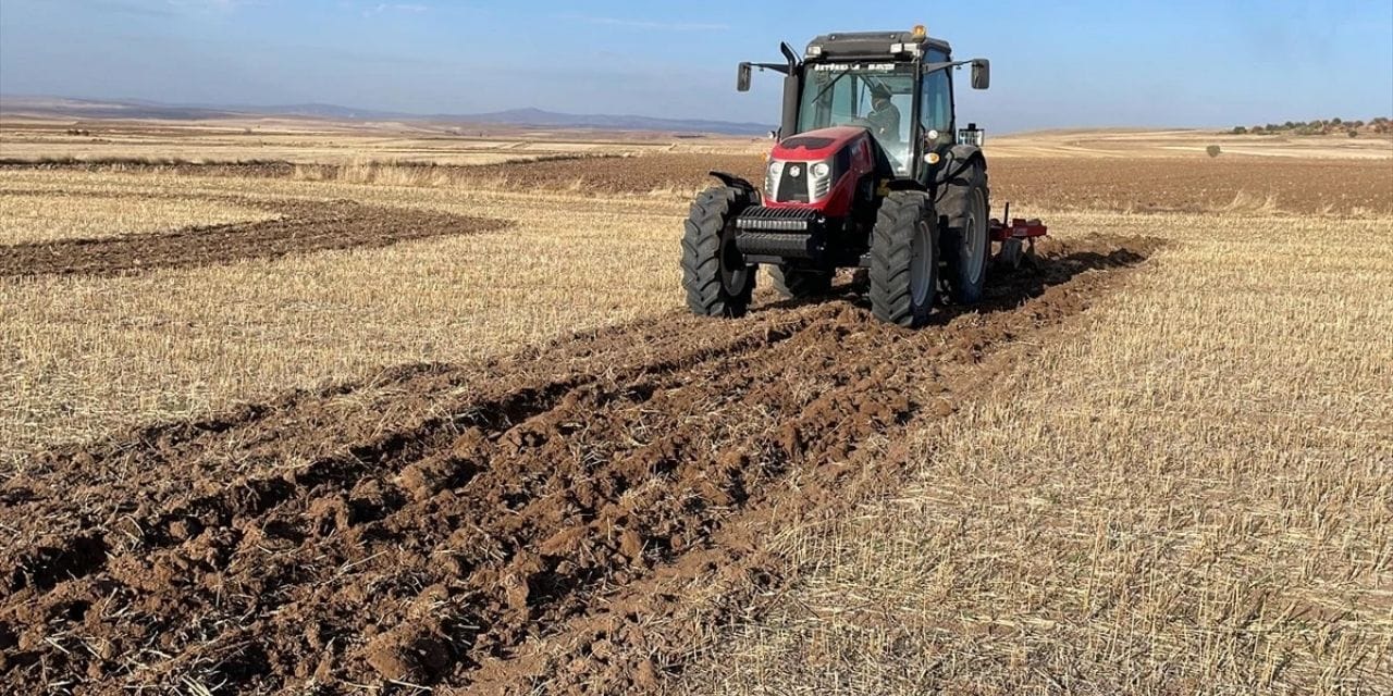 Üretici 1 liraya satamıyor, vatandaş 40 liraya alıyor