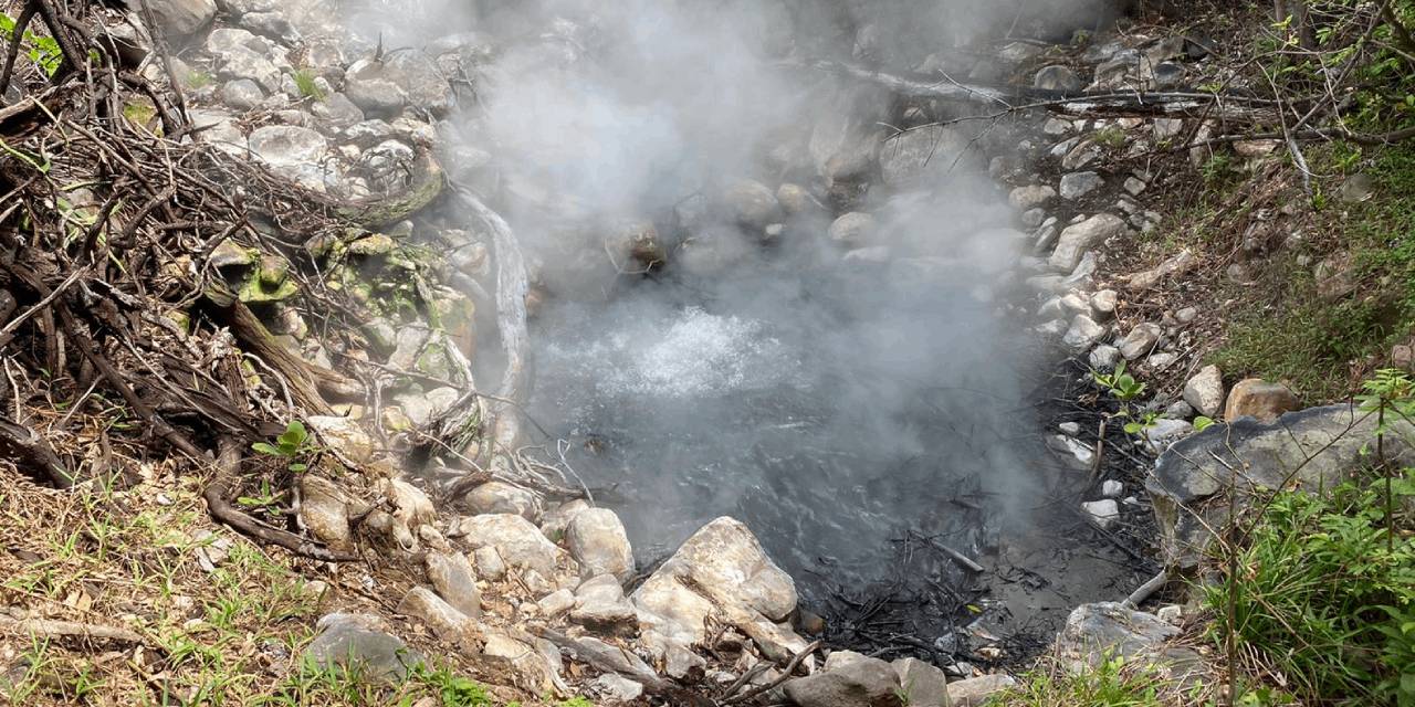 Doğa önce yeşeriyor sonra patlıyor!