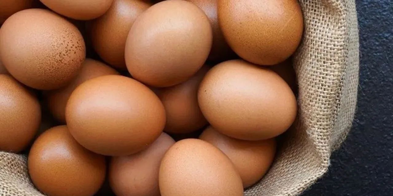 YUMBİR açıkladı: Yumurta fiyatları düştü, pahalıya almayın, denetleyin!