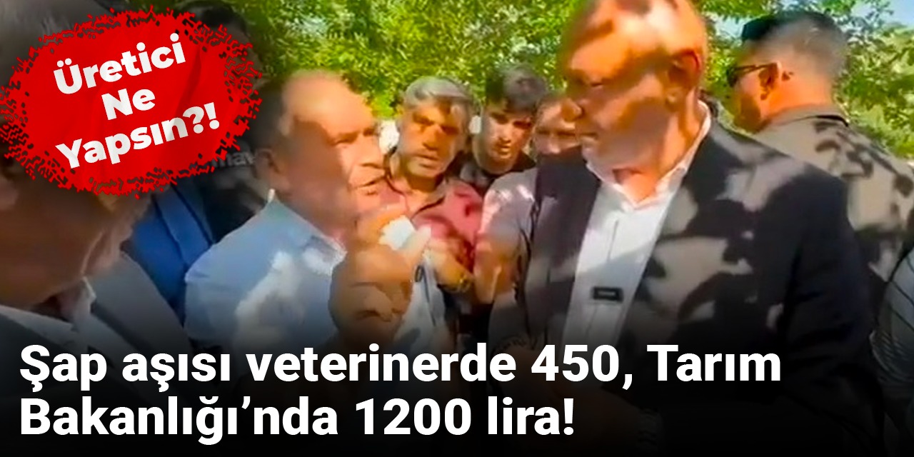 Şap aşısı veterinerde 450, Tarım Bakanlığı’nda 1200 lira! Üretici ne yapsın?